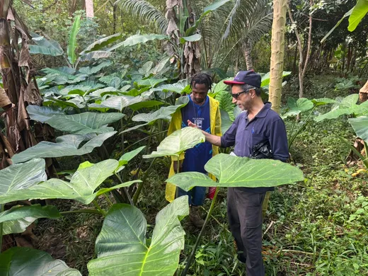 My research and community engagement in the Pacific island state of Vanuatu