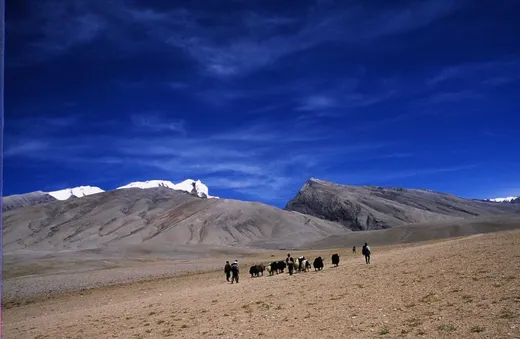 July 2004 , Tibet - With my FES colleagues , Traversing from Khardum to Taklakot while returning from Tibet with our Yaks.