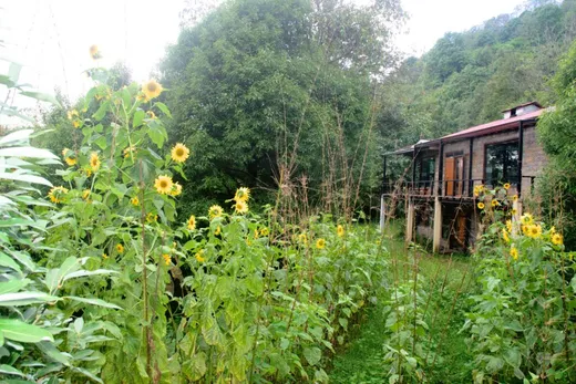My home office in Sarmoli Village (September 2023)