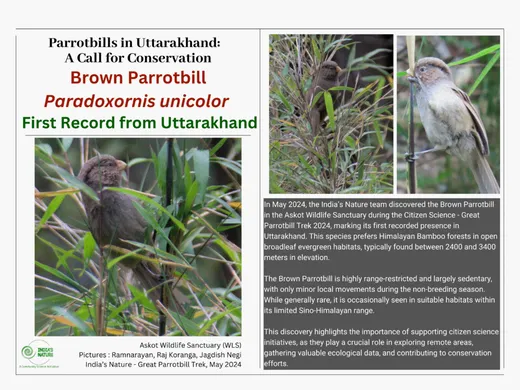 [May 2024 : First documentation, in Uttarakhand, of the Brown Parrotbill a high point for India’s Nature](https://drive.google.com/file/d/1xlVTEfkmhQvcBQWaY9LFl45j0HjGM9Dz/view?usp=sharing\))