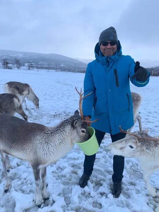 At Norway , feeding reindeers