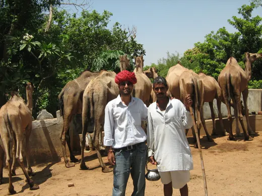 Internship Field Work