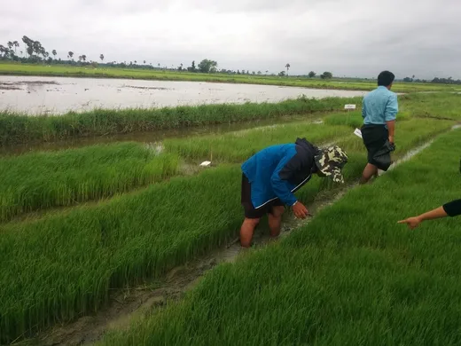 Typical work day in Myanmar