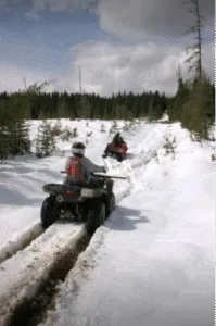 Touring the entire province of Canada's vegetation and wildlife