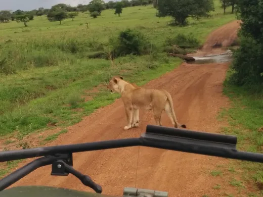Weekend Trip to Serengeti