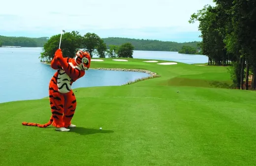 My Vibrant Clemson Spirit