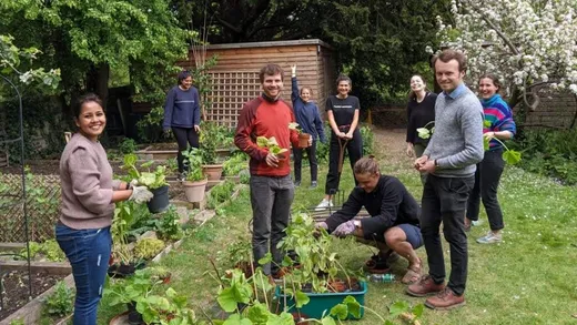 Gardening in the student garden (DarGar) at Darwin College, University of Cambridge, UK