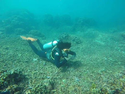 Scuba Diving