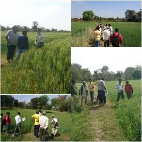 Darshan on a field visit.