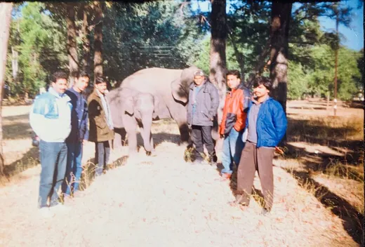Field Visit at Bandhavgarh/Kanha