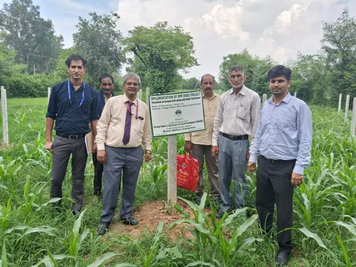 Plantation drive in In Samba district J&K