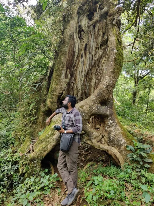 At Western Ghats, Kerala