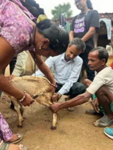 Training on Livestock Management