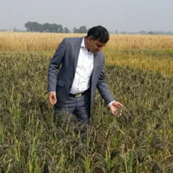 Field Visit in Uttar Pradesh on promoting black rice for the nutrition programme