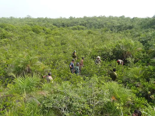 Camera trapping exercise at Sundarbans tiger Reserve