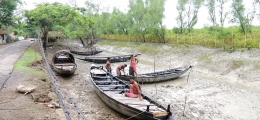 Nylon net fencing – the lifeline of Sundarbans to prevent tigers from entering human habitation