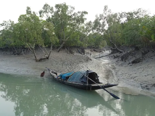 Natural resource dependency inside Sundarban Tigers Reserve