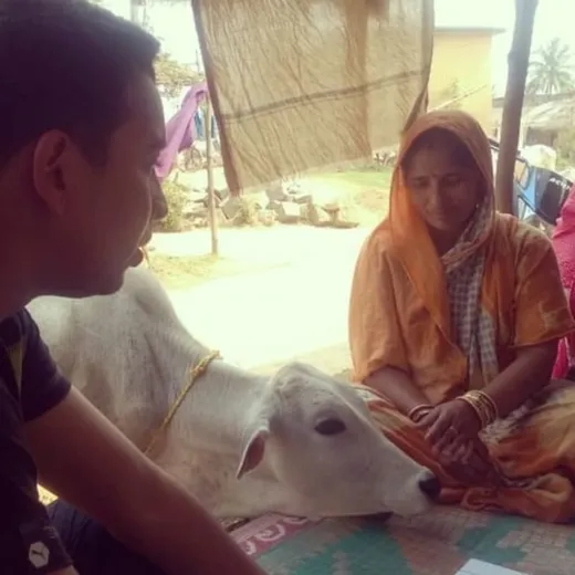 Cow being a part of Focus Group Discussion