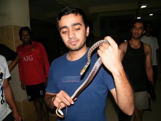 Handling the bronzeback tree snake which was a pet of Rohit Gharde