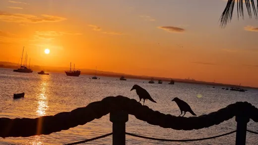 Clicked sometime last year looking at new hope even in twilight!