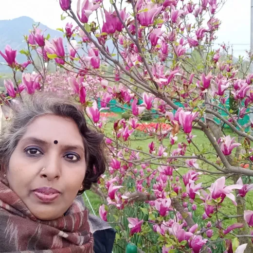 At Srinagar Tulip festival