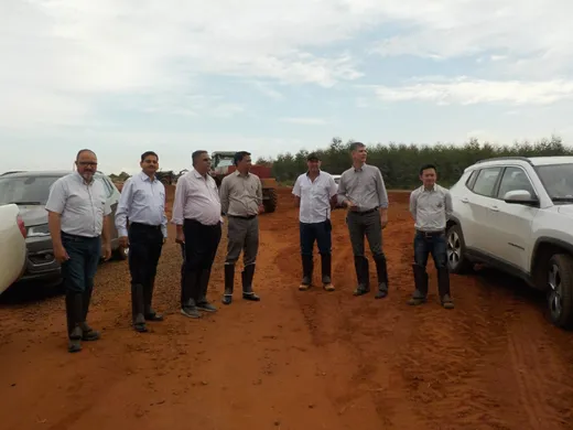 Exploring international partnerships – Suzano Papel, Sao Paulo(Brazil)