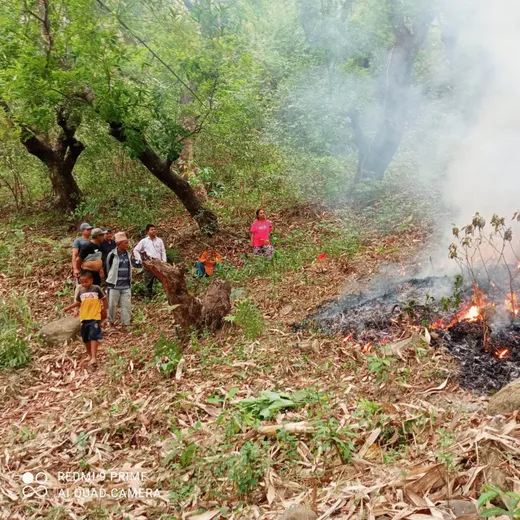 Forest fire control practice in Community Forest Area, Dhading